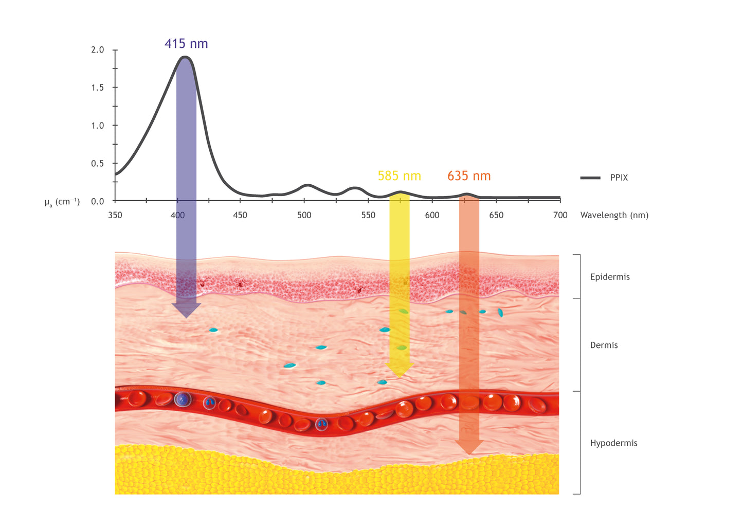 204562v-lichttherapie