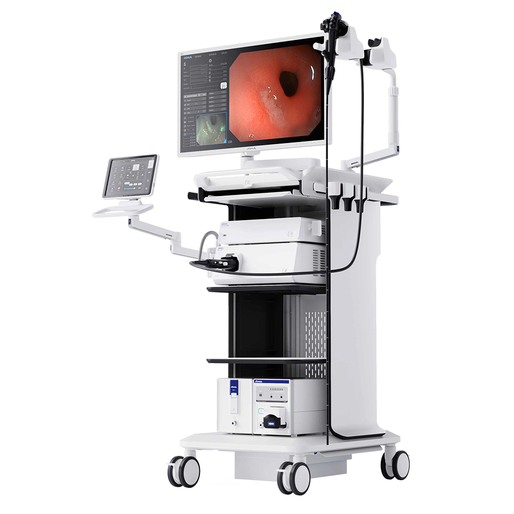 Gastro/Pneumo Diagnostic Endoskopie