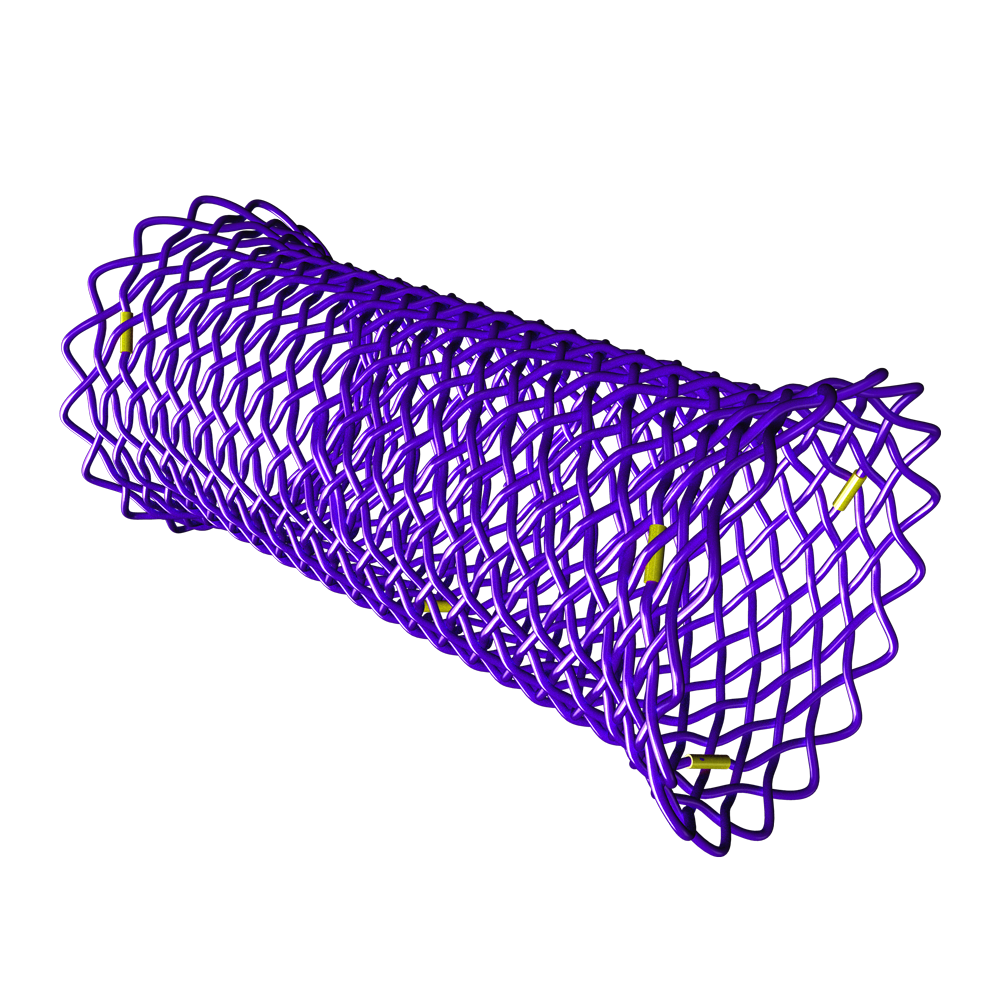 SX-ELLA® BD Stent – Selbstauflösender Ösophagusstent